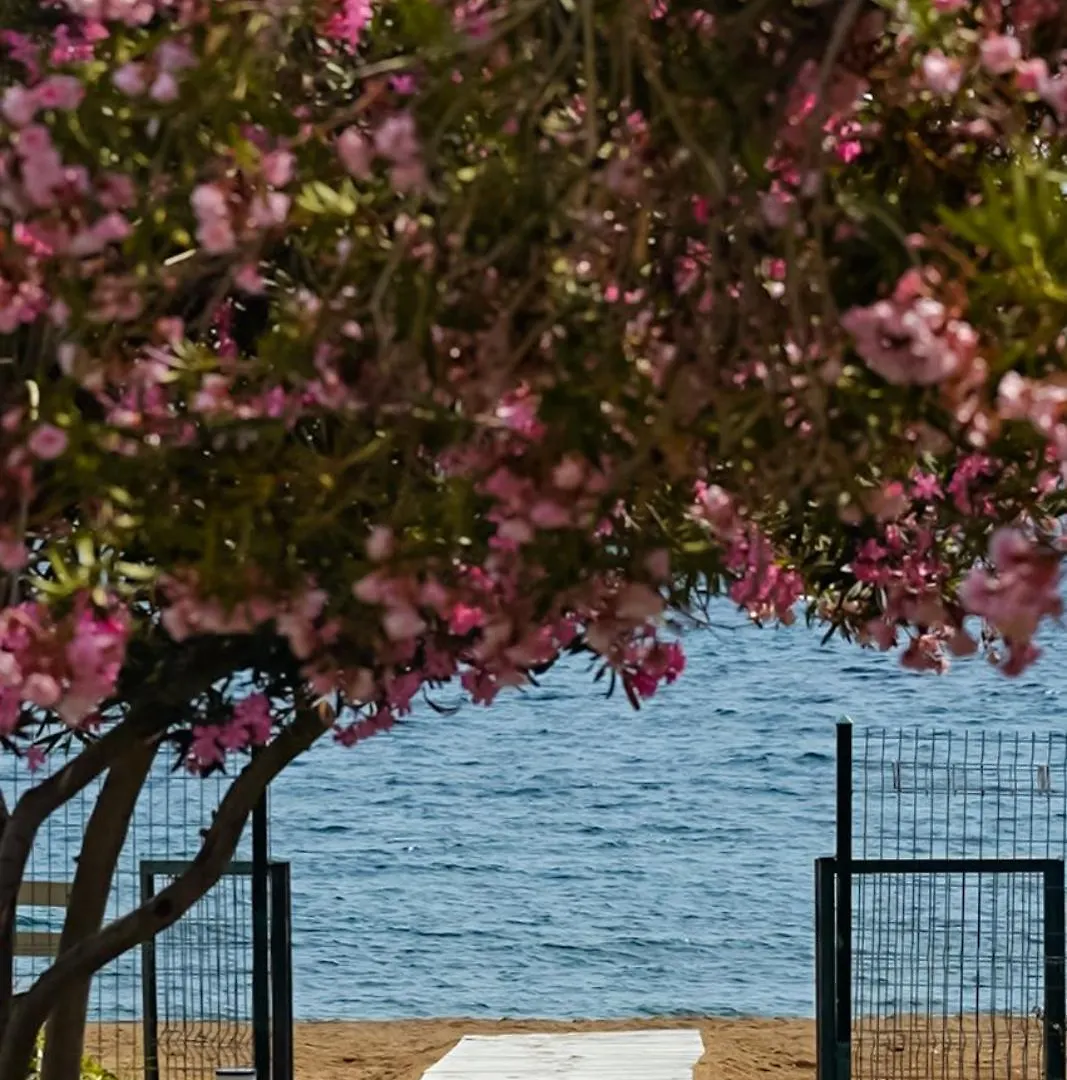 Club Beyy Resort Hotel İzmir